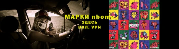 прущие грибы Осташков