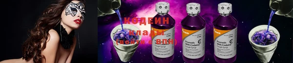 прущие грибы Осташков