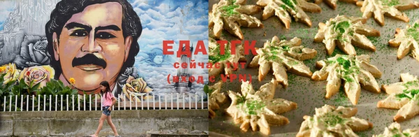прущие грибы Осташков
