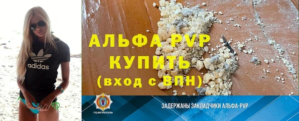 прущие грибы Осташков