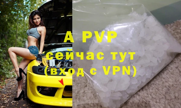 прущие грибы Осташков