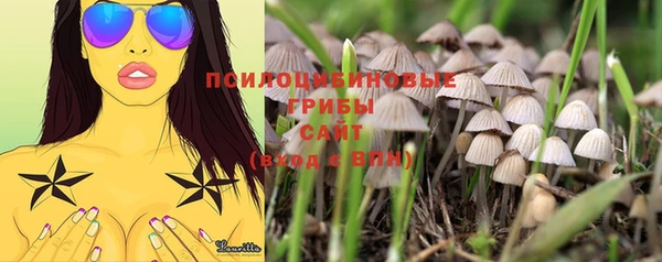 Альфа ПВП Остров