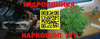 молекула духа Можайск