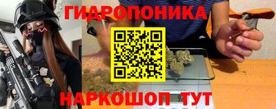 шишки Среднеуральск