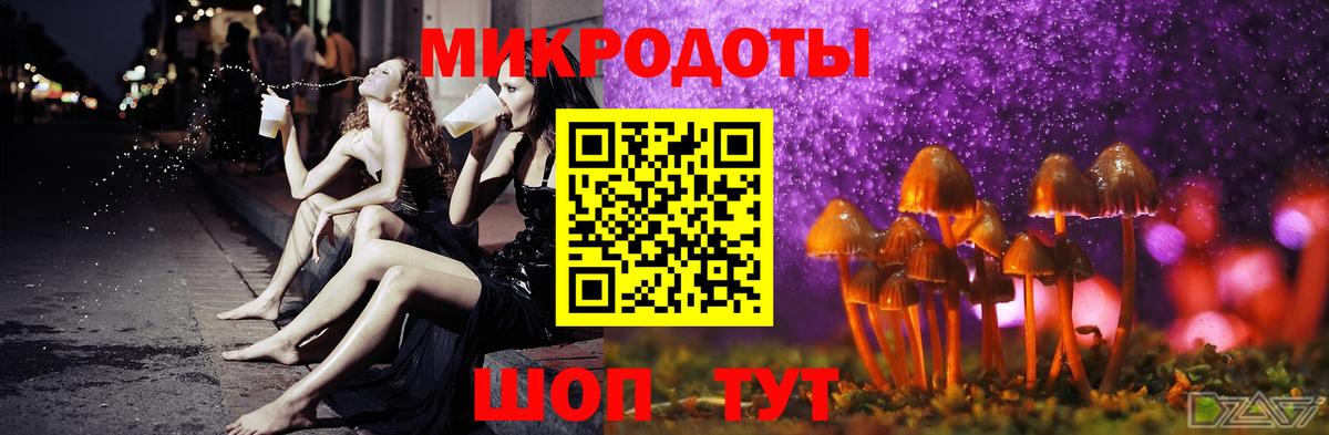 что такое   Вход с VPN  Рязань  Псилоцибиновые грибы прущие грибы 